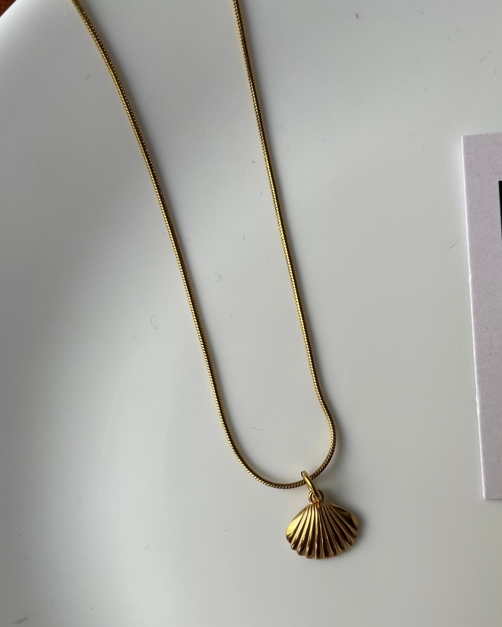 Gold necklace with a shell pendant on a white surface