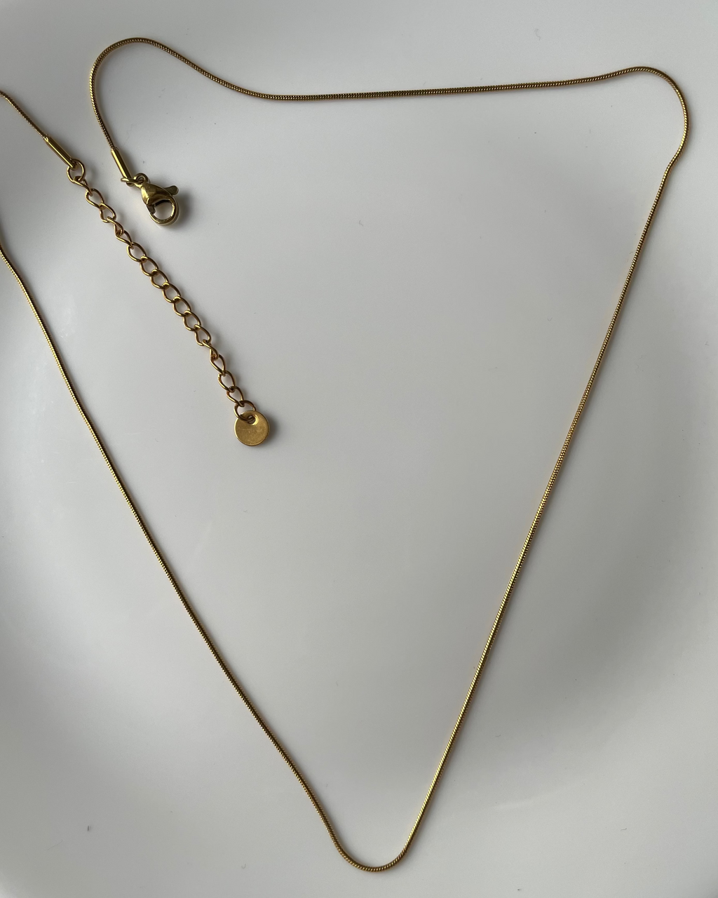 A delicate gold chain necklace with an adjustable lobster clasp and a small round disc charm, displayed on a white ceramic plate.