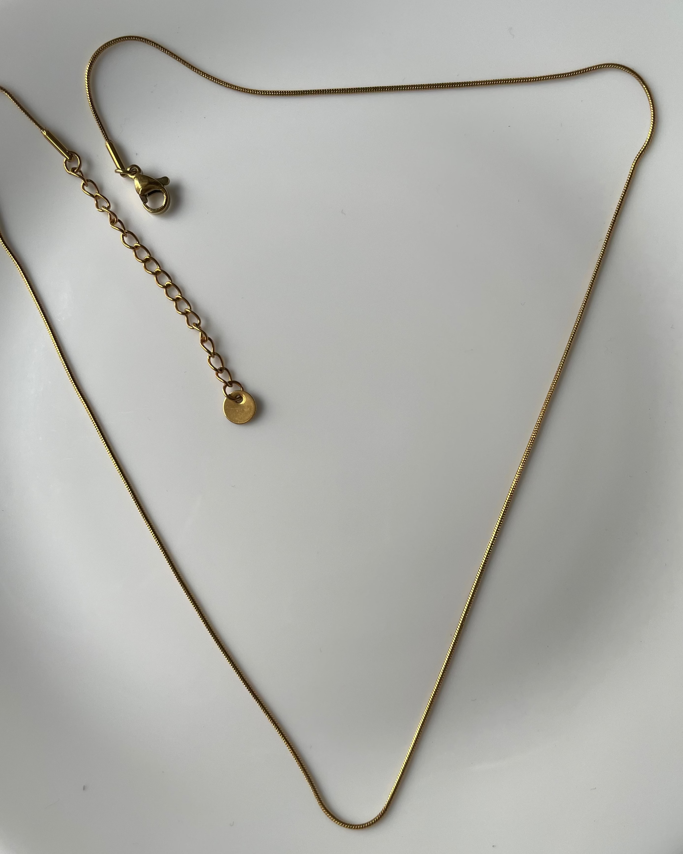 A delicate gold chain necklace with an adjustable lobster clasp and a small round disc charm, displayed on a white ceramic plate.