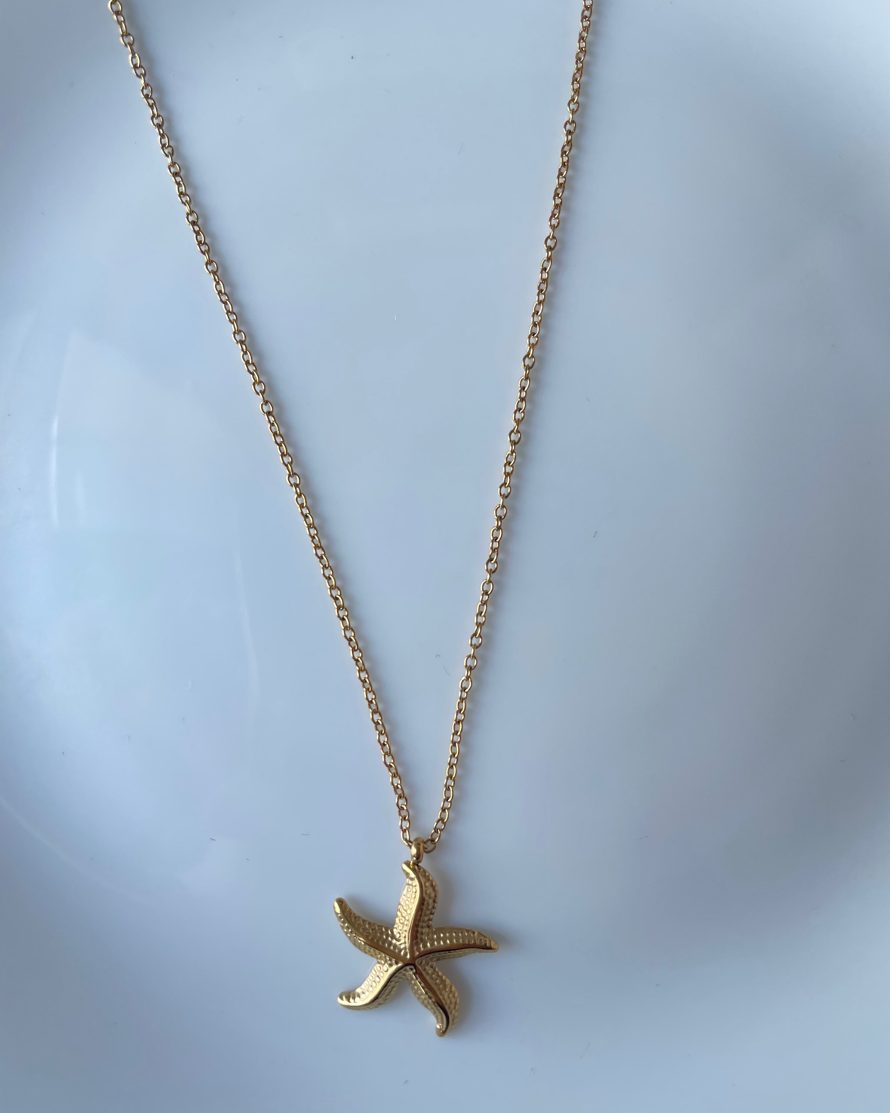 A delicate gold chain necklace featuring a textured gold starfish pendant, displayed against a light blue background.
